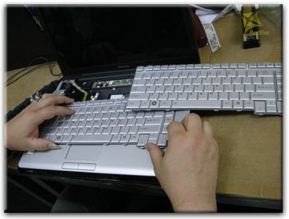 Ремонт клавиатуры на ноутбуке Toshiba в Королёве